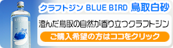 NtgW BLUE BIRD攒